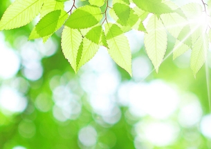 ループスライダー画像